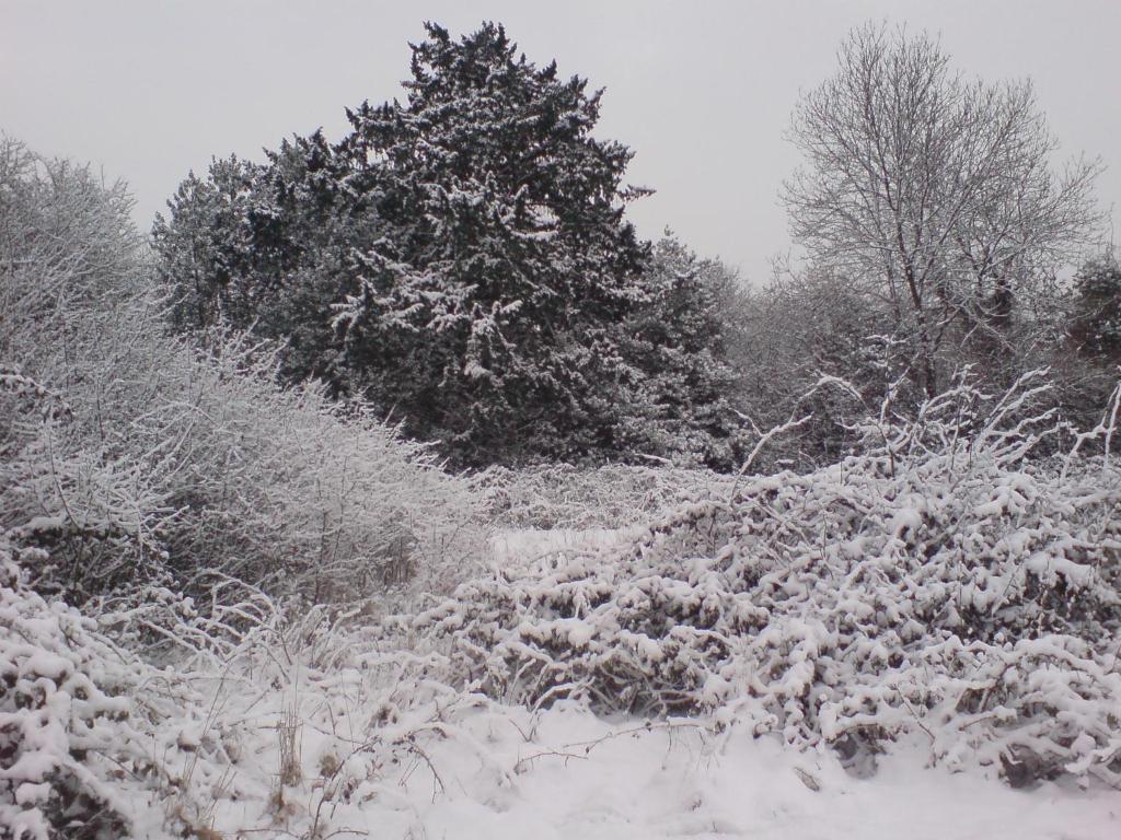 Oldlands Farm Villa Crawley  Buitenkant foto